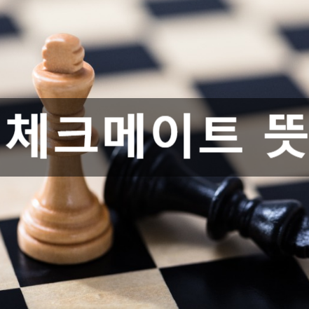 체크메이트 뜻 제대로 알기 checkmate 체스에서 온 영어 단어