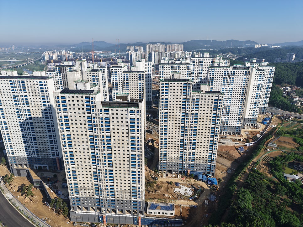 싱싱회 사진 5