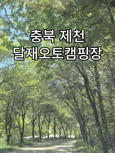  충북 제천 달재오토캠핑장 후기｜계곡 캠핑·사이트 크기·시설 총정리