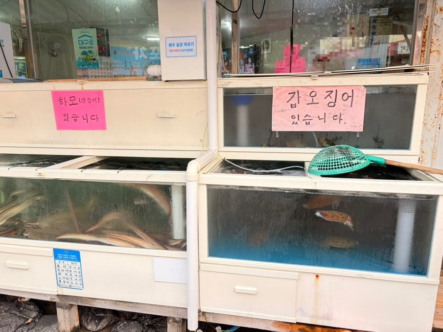다도회수산 사진 2