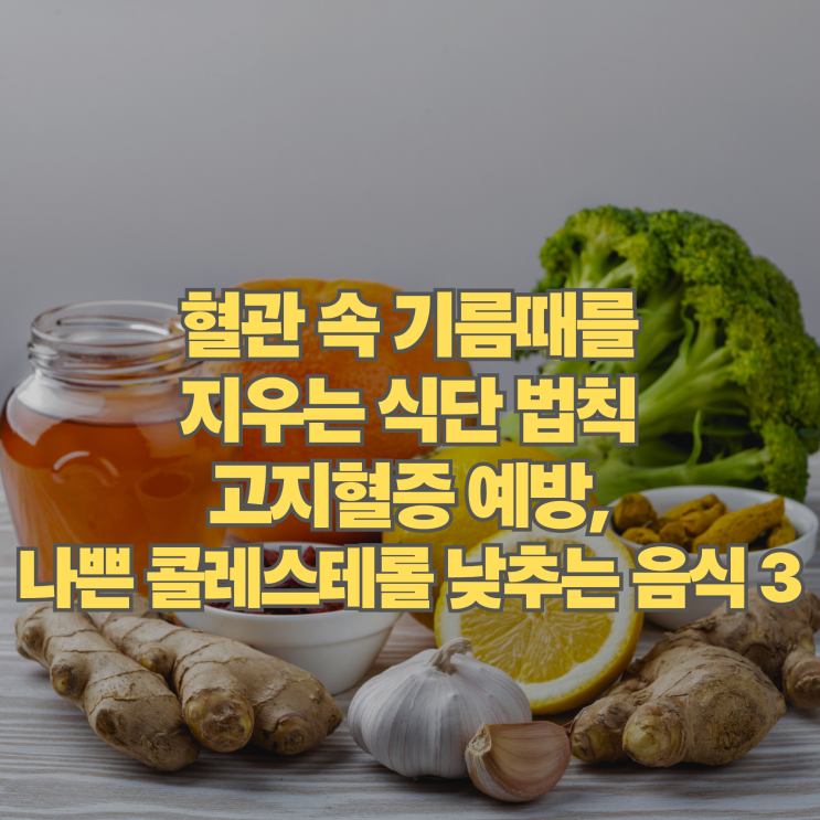  고지혈증 증상 예방하는 나쁜 콜레스테롤 낮추는 방법과 좋은 음식 3가지