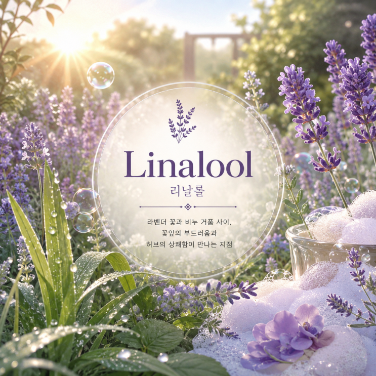  Linalool  : 시트러스는 어떻게 라벤더 정원이 되는가