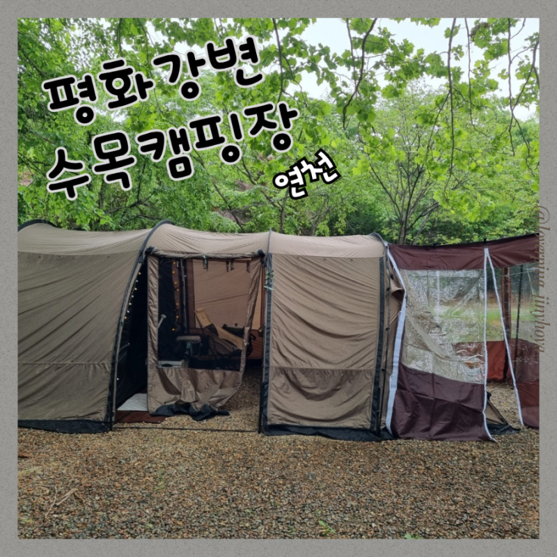 연천 캠핑장 추천 평화강변수목캠핑장 G구역 두 가족이 함께한 2박3일 힐링캠핑