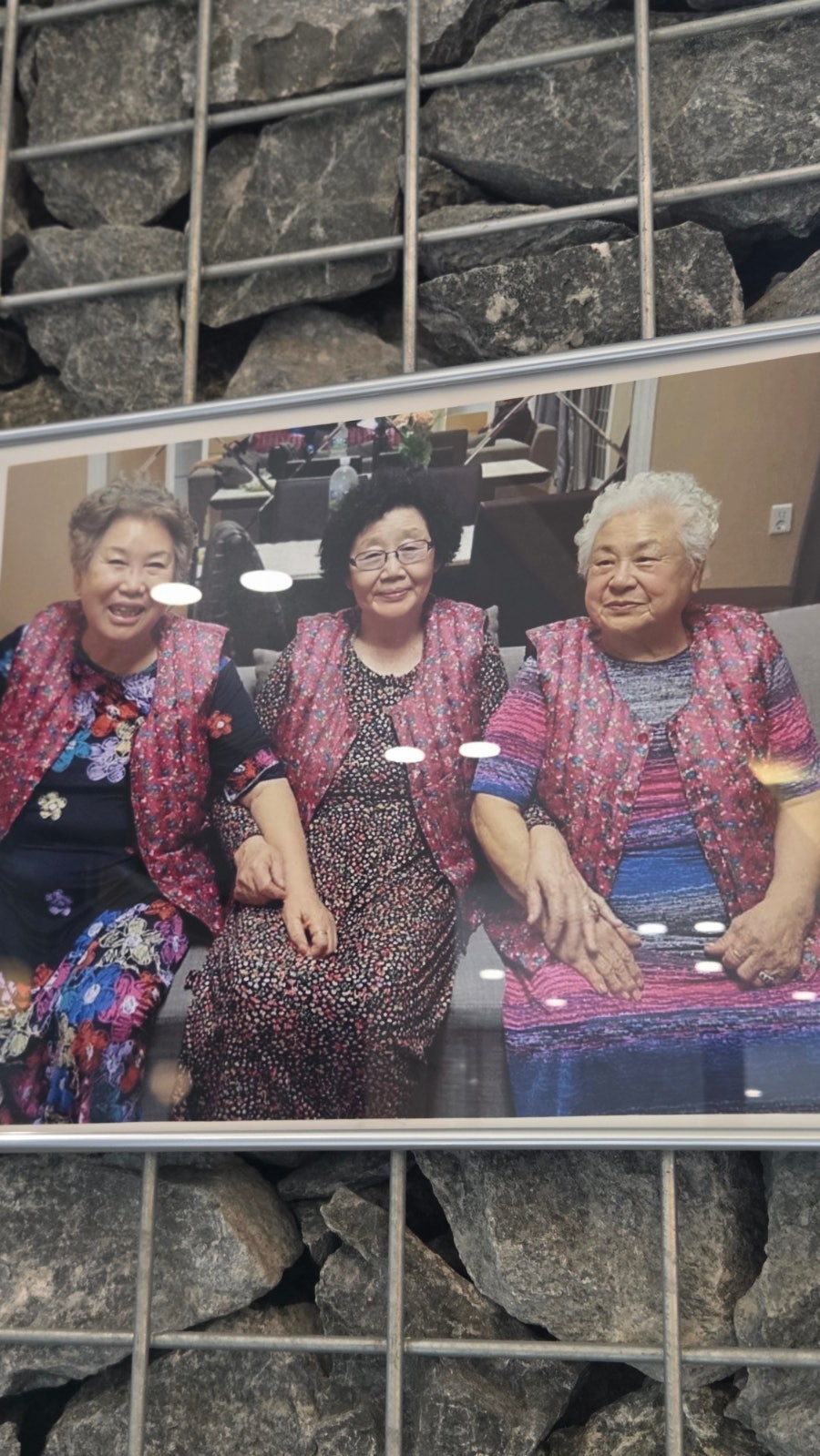 테이스티 사진 3