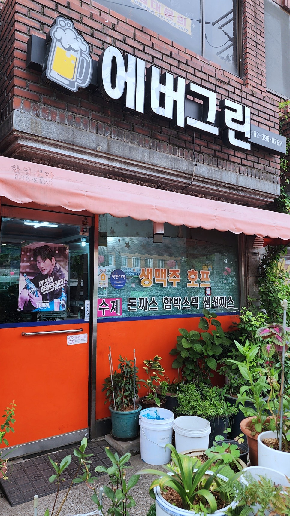 에버그린 사진 3