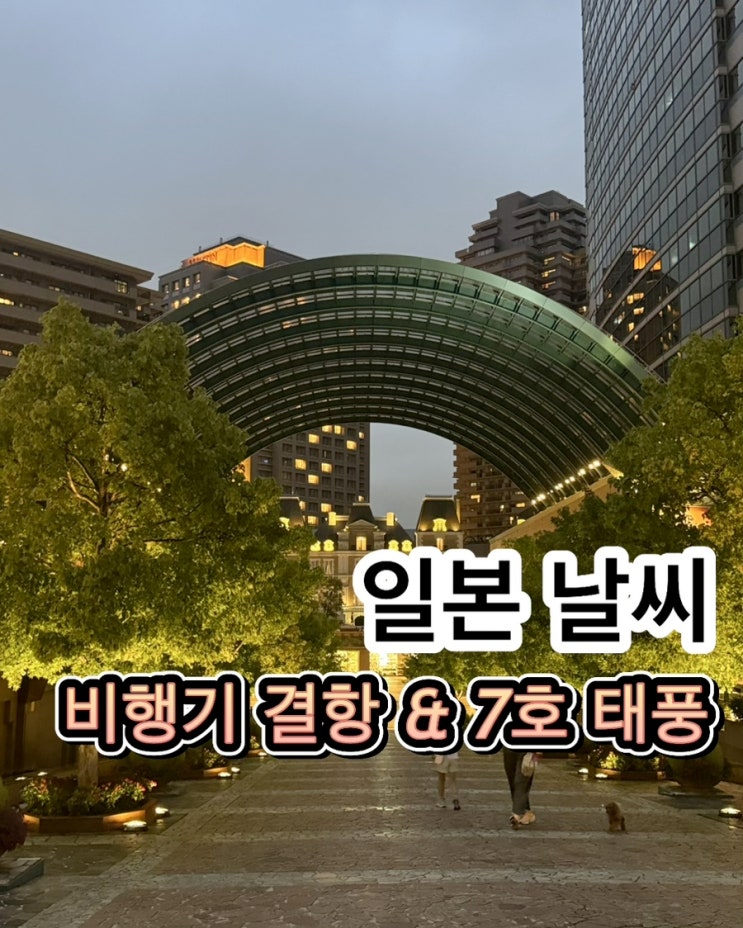 일본 태풍 비행기 결항 대처법, 6호 장미 취소 환불 및 <b>7호 태풍</b>... 