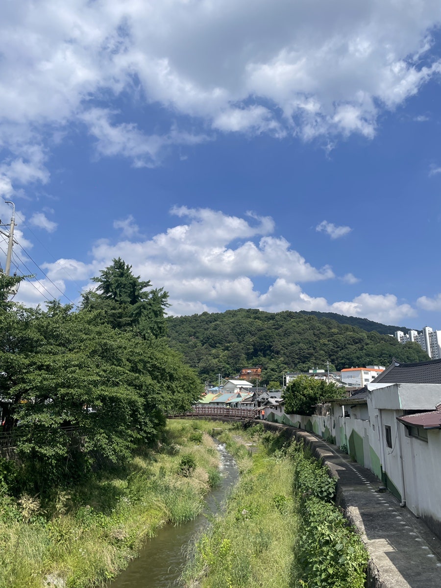 모녀 칼국수 팥죽 사진 5