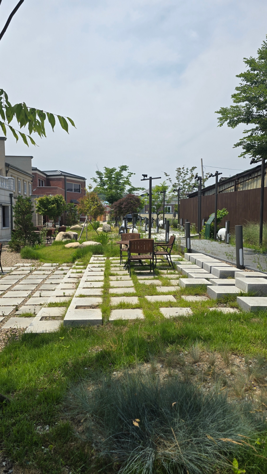 담미 사진 4