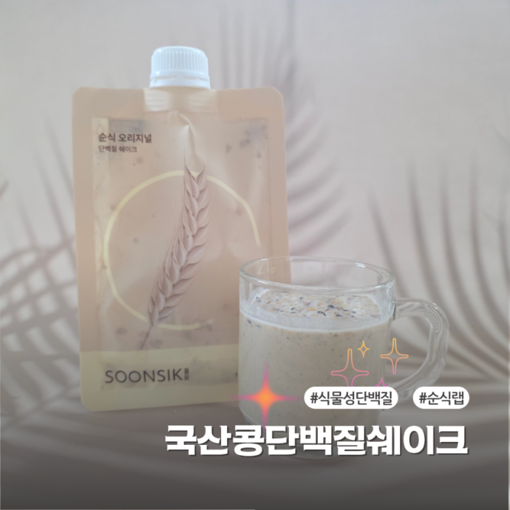  순식랩 식물성 단백질 쉐이크 아침대용으로 좋은 후기