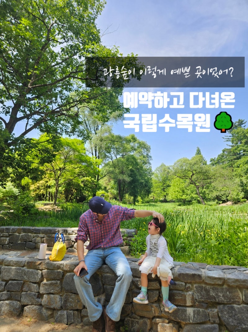 국립수목원 예약 방법부터 관람 후기까지! 아이와 광릉숲 산책