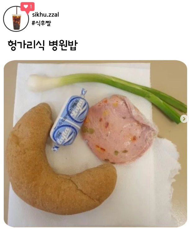 헝가리식 병원밥