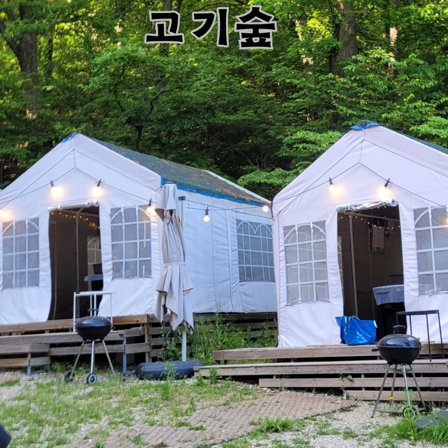 고기숲 사진 1