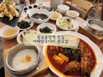 광교중앙역 맛집 매콤한코다리에 두꺼운 무가 별미인 어해랑코다리광교점