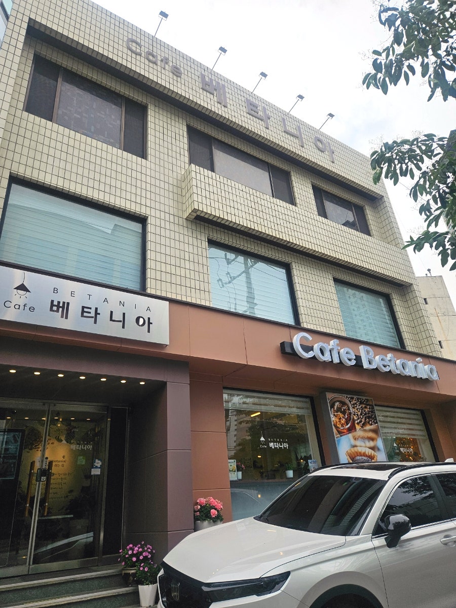 베타니아 사진 4