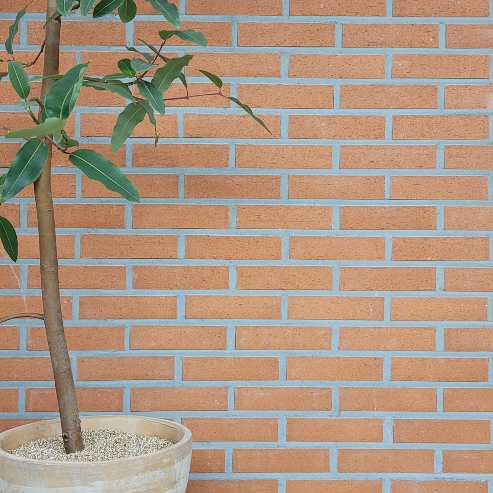 아트살롱 사진 6
