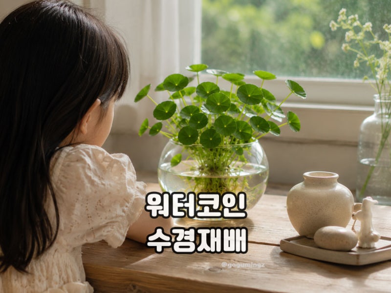 워터코인 수경재배로 키우기와 꽃,어항 고르기