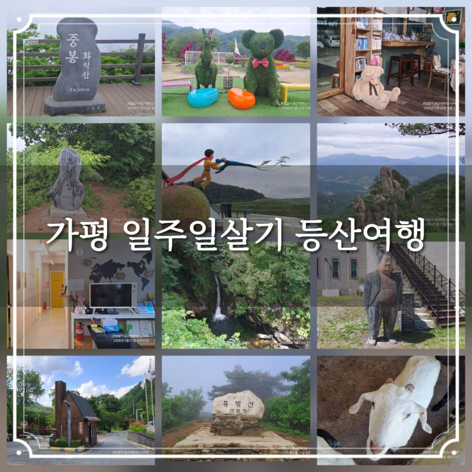 자라게스트하우스 사진 2