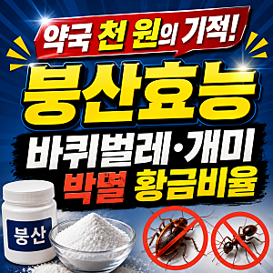 약국 천 원의 기적! 붕산효능 바퀴벌레 개미 박멸하는 황금비율