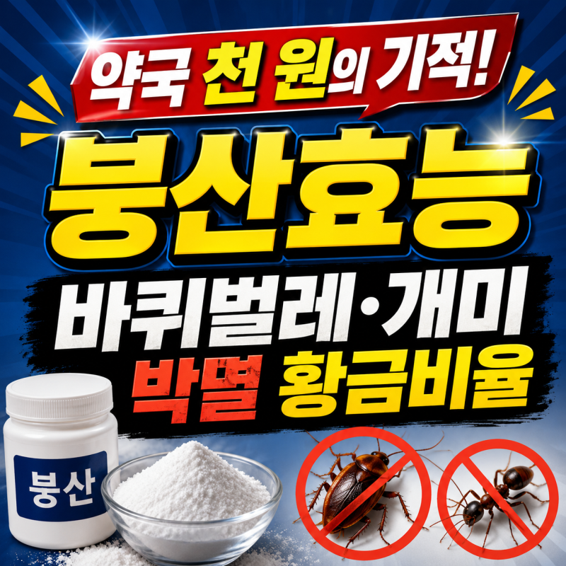 약국 천 원의 기적! 붕산효능 바퀴벌레 개미 박멸하는 황금비율