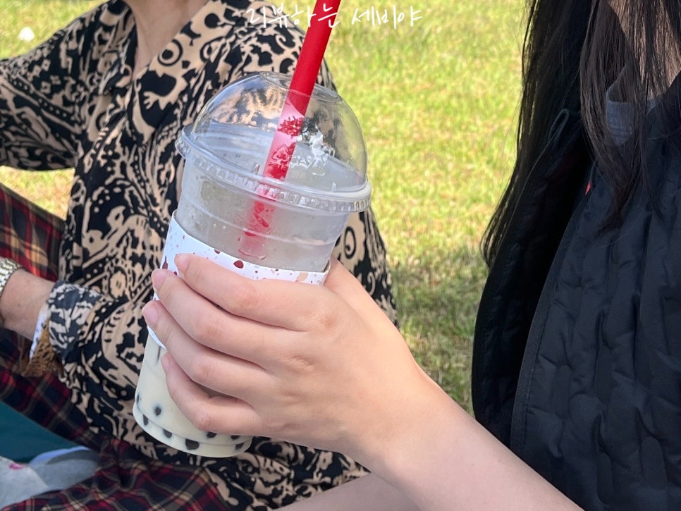 요거프레소 신안지도점 사진 6