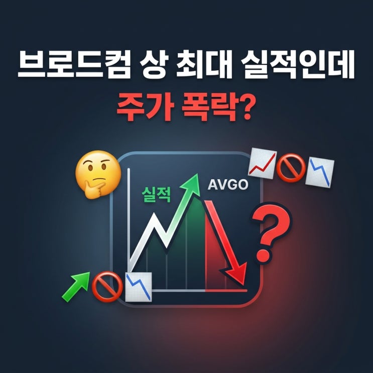  브로드컴 사상 최대 실적인데 주가 폭락?..."이게 말이 됩니까"