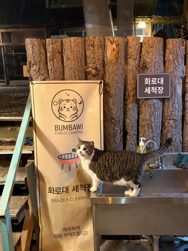 서울 근교 김포 캠핑장 범바위 포레스트 명당 A8 2박 3일 애견 동반 후기