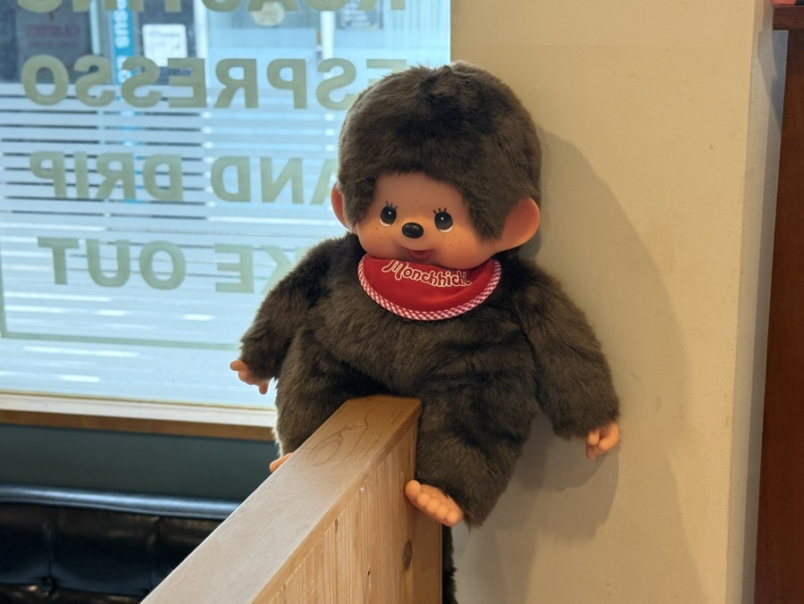 블라썸컴패니언 사진 6