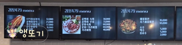 경포479 사진 1