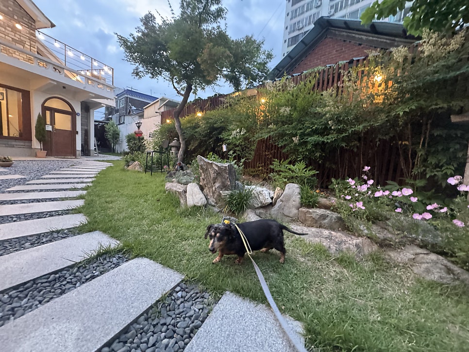 어스플러그 사진 5