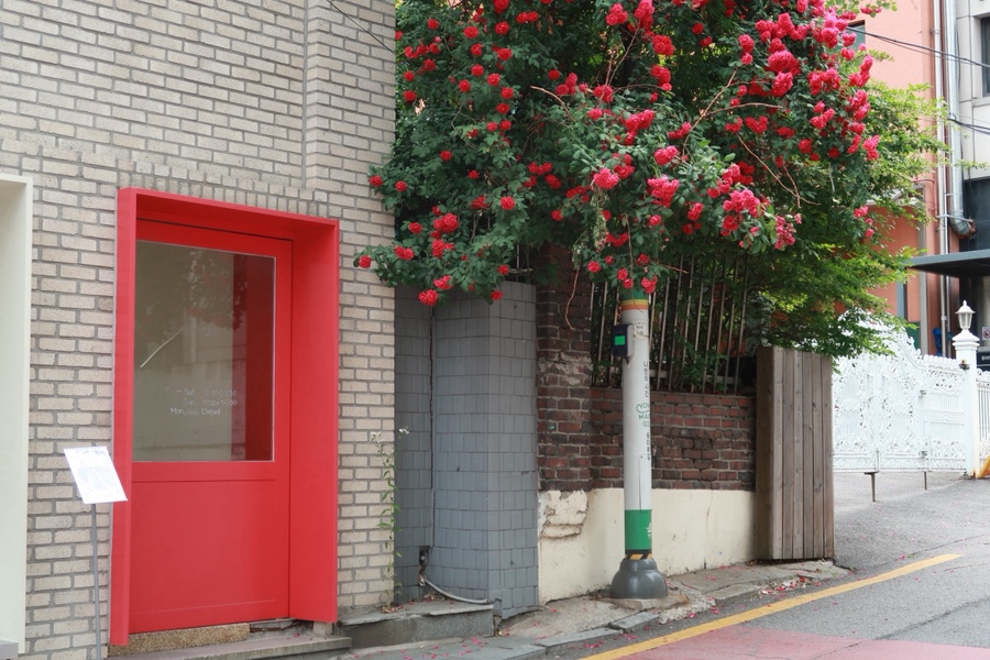 리틀갱스터 사진 1