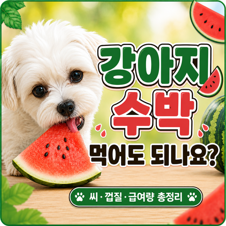  강아지 수박 먹어도 되나요? 씨·껍질·급여량 총정리