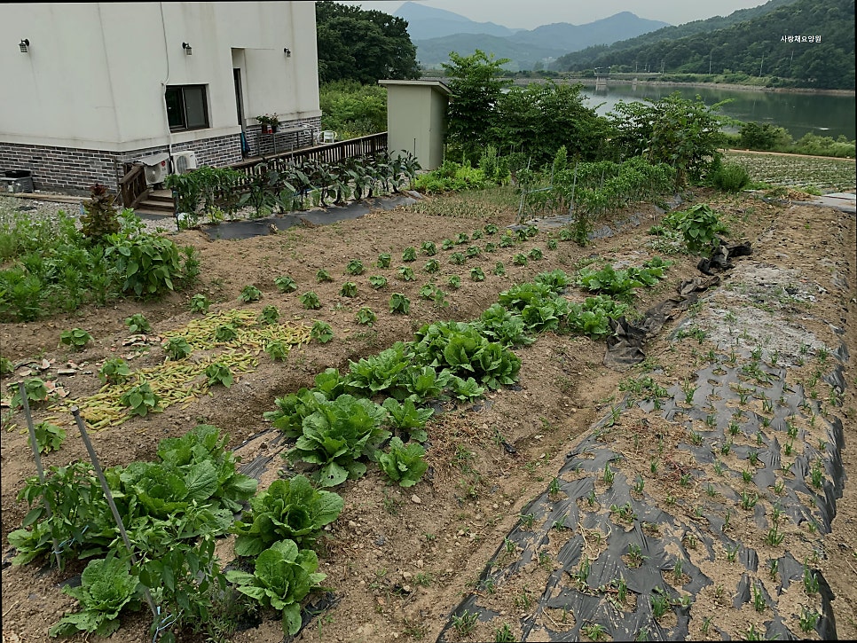 사랑채요양원 사진 4