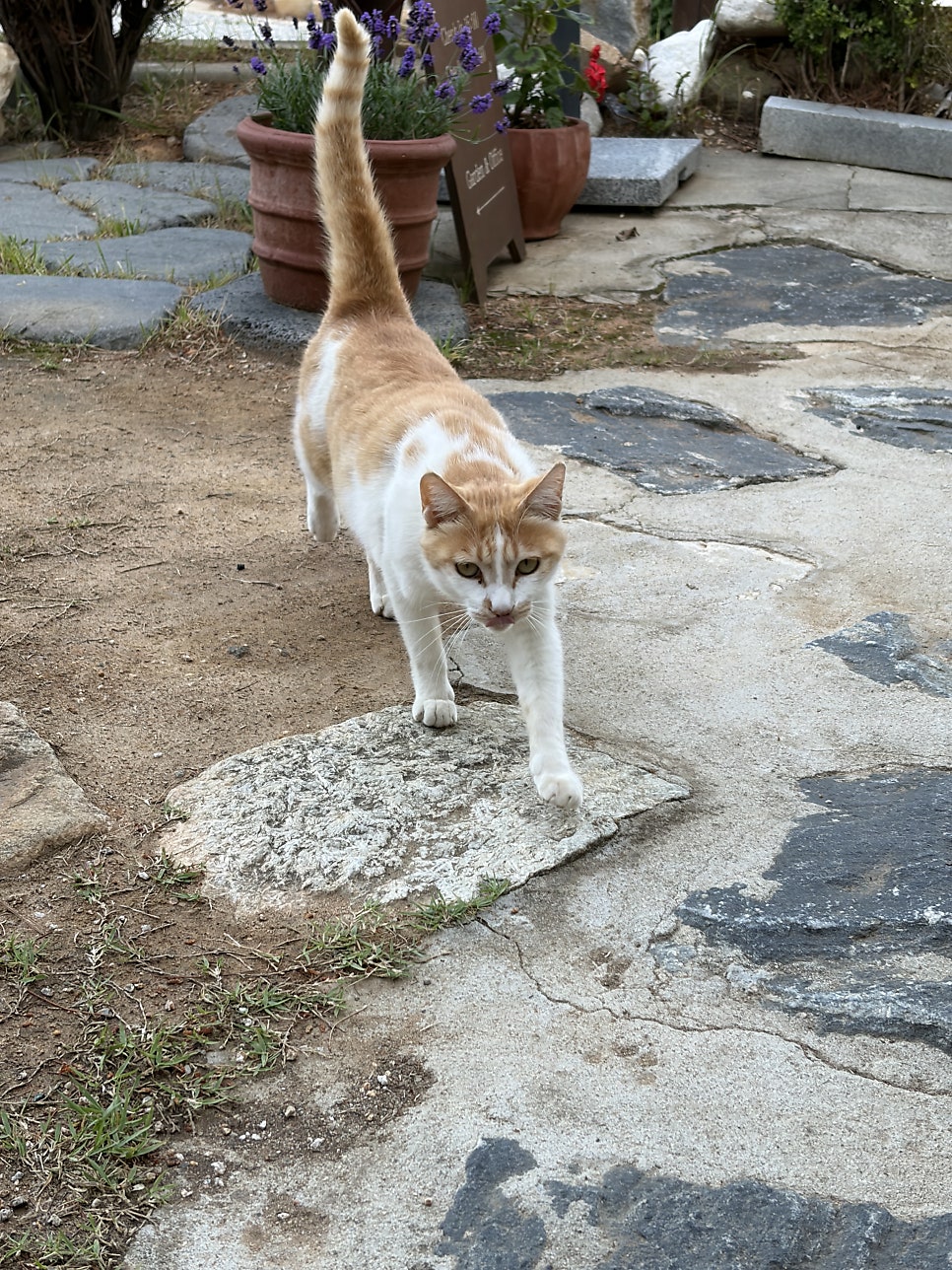 강릉씨엘 사진 4