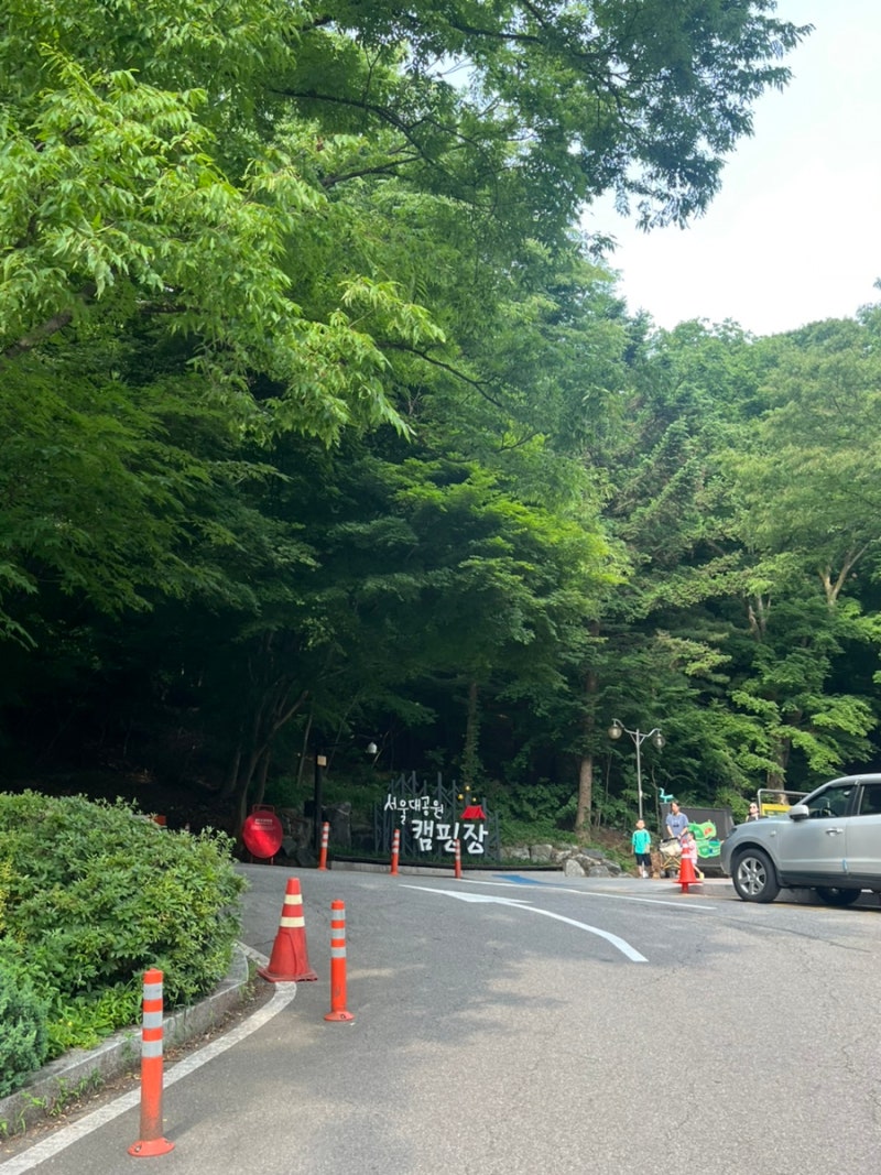 과천 서울대공원 캠핑장 공휴일 주차, 평일 주차, 206호 403호 사용 후기