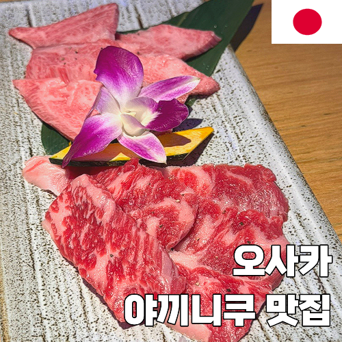 오사카 도톤보리 야키니쿠 맛집 무한리필 와규 야끼니꾸 다이보쿠죠