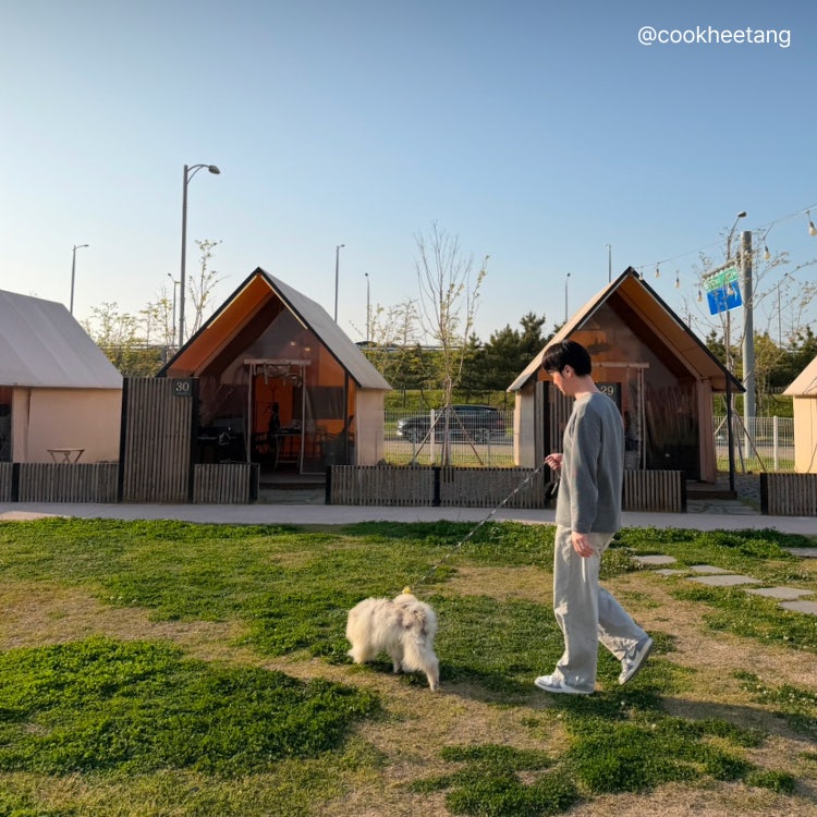 [경기/시흥] 애견동반 가능한 '바베큐팩토리 거북섬점'