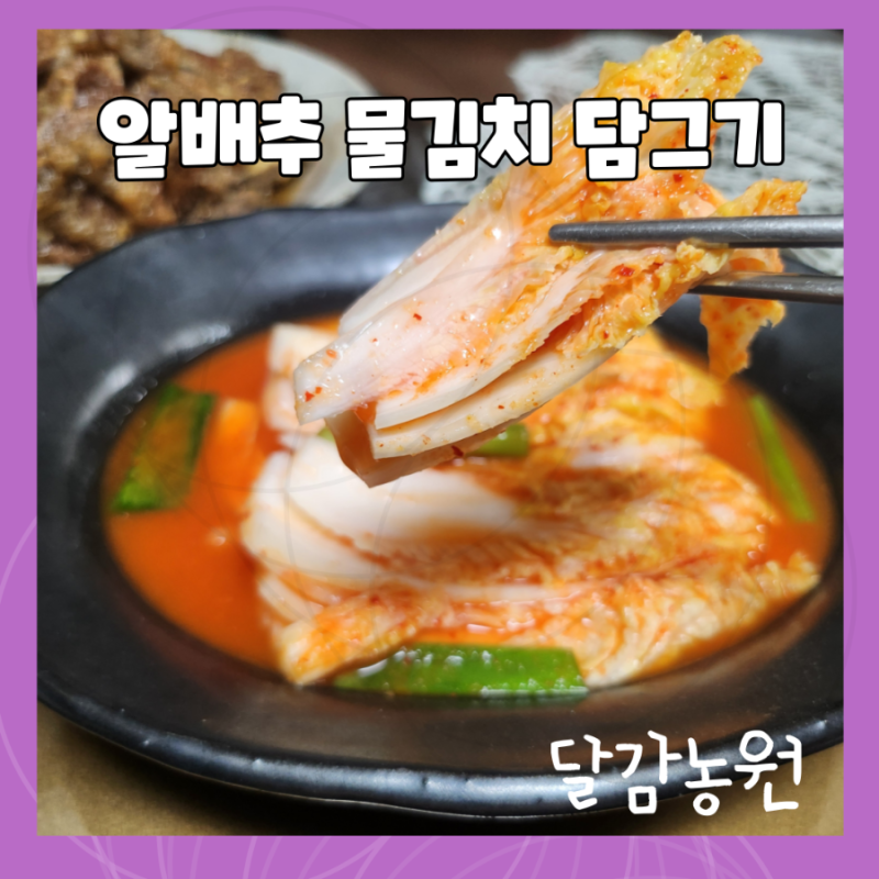 시원한 알배추 물김치 담그기