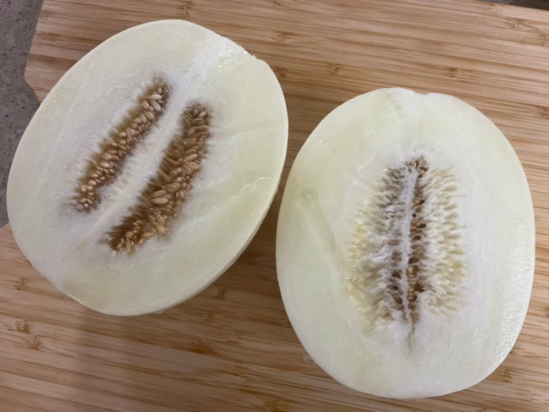 천안 수신멜론 농장 직거래 후기, 역시 이맘때가 제일 맛있어요