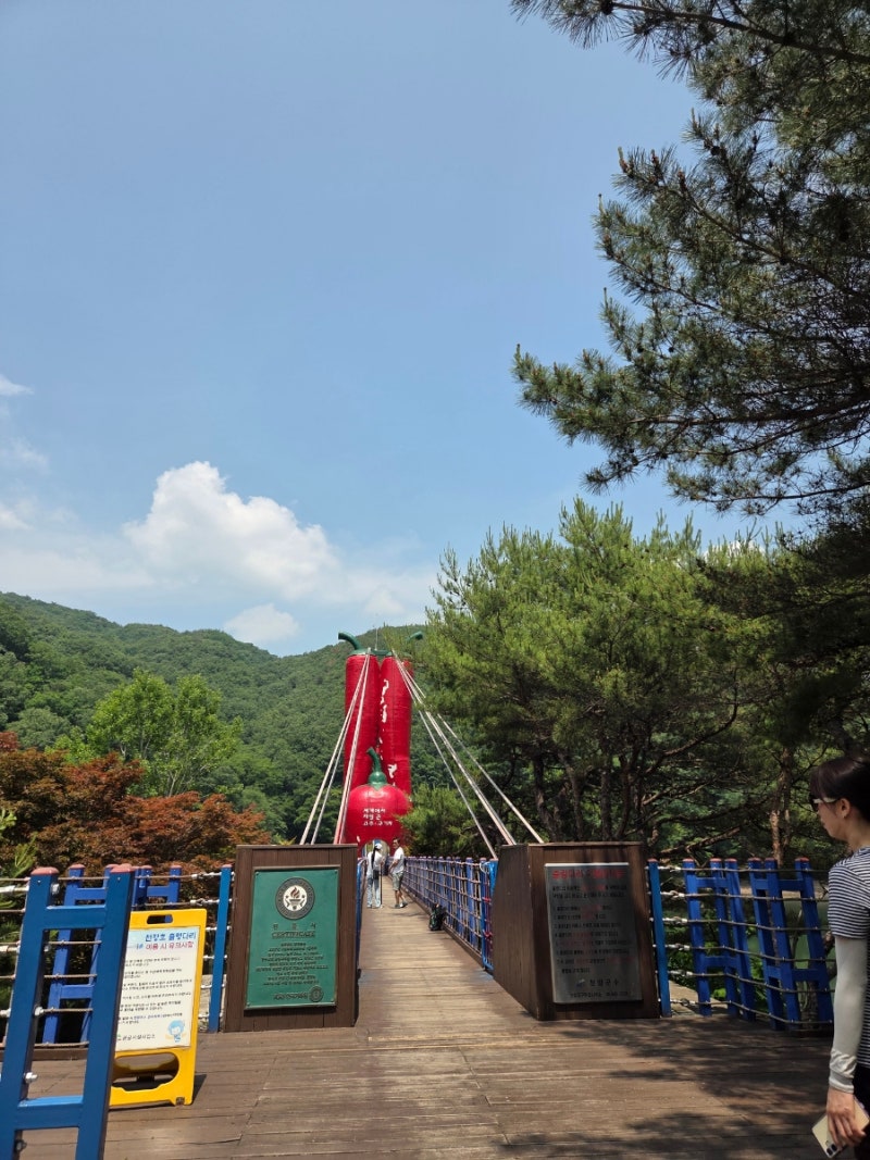 아이와 함께 가기 좋은 청양 여행, 천장호 출렁다리와 네트 챌린지 체험 후기