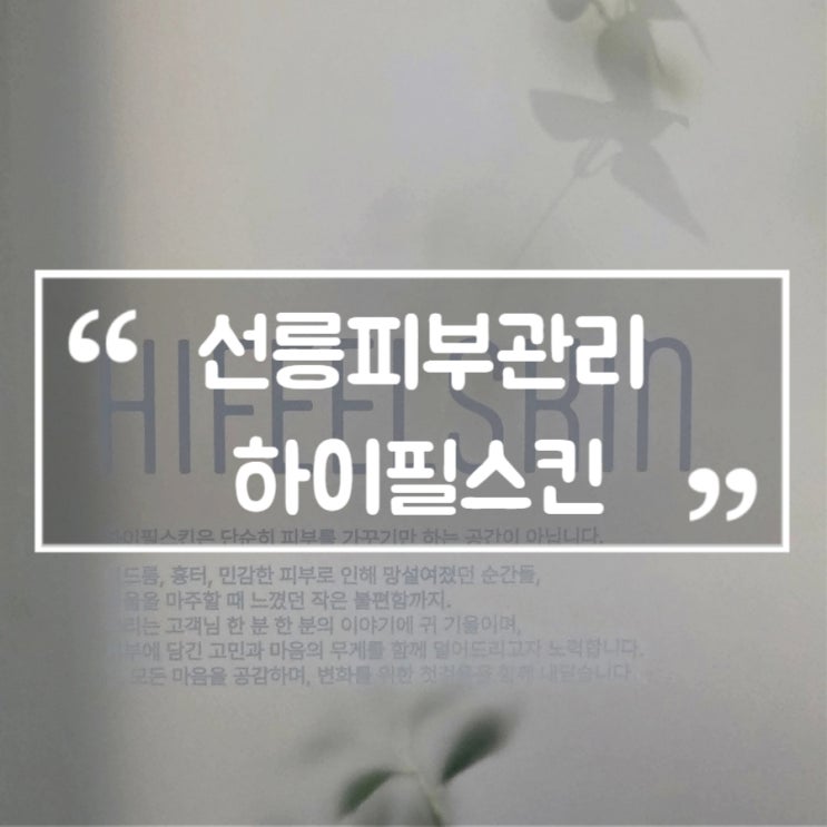 선릉피부관리 하이필스킨 1대1 맞춤관리 문제성 전문 테라피
