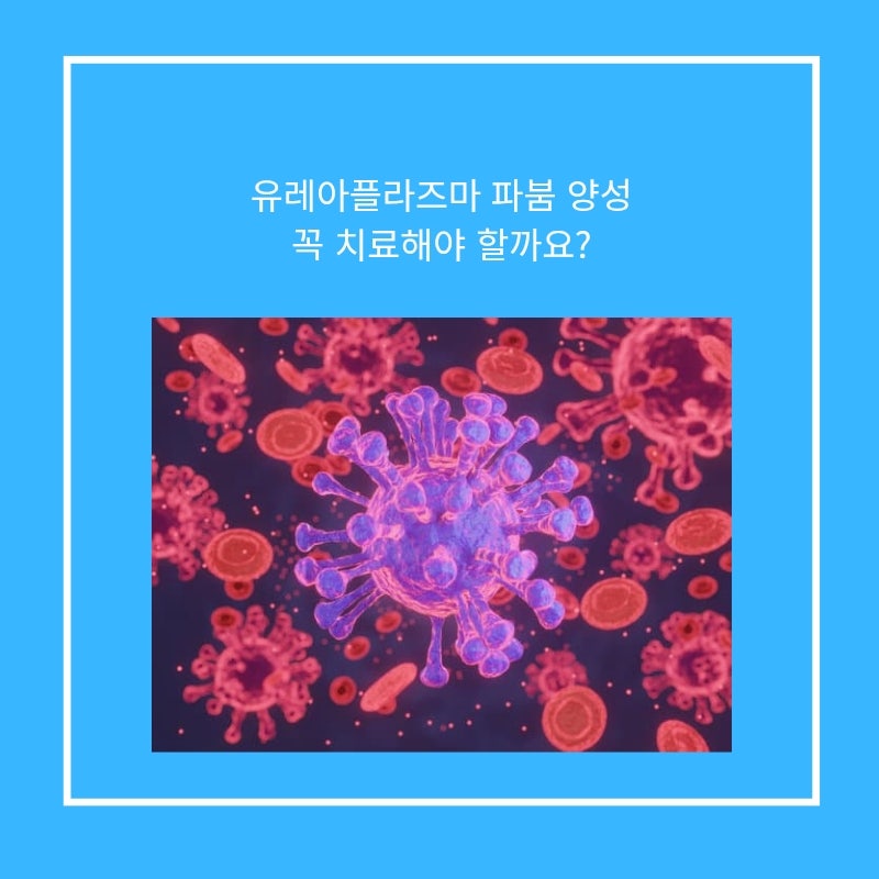 유레아플라즈마 파붐 양성, 꼭 치료해야 할까요?