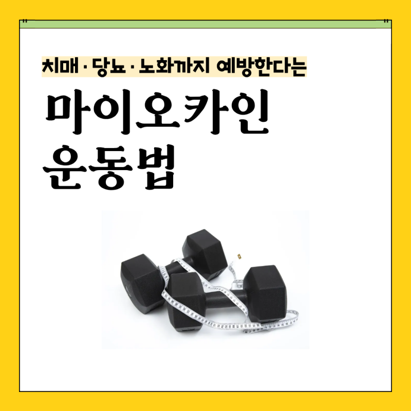 치매·당뇨·노화까지 예방한다는 마이오카인, 뜻부터 운동법까지