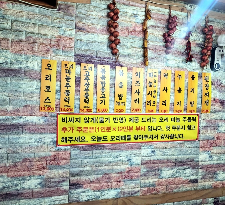 오리떼 사진 3