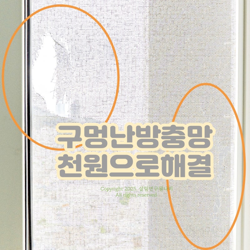 구멍난 방충망 다이소 보수 테이프로 셀프 DIY