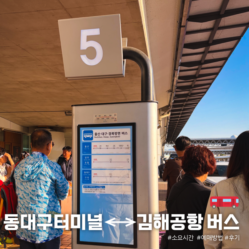 동대구터미널에서 김해공항 리무진 버스 후기 (시간표, 예약방법, 소요시간, 가격)