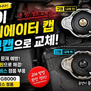 레이 라디에이터 캡 신형 캡으로 셀프 교체해봤습니다냉각수 문제로 스트레스 받다가 3,190원....
