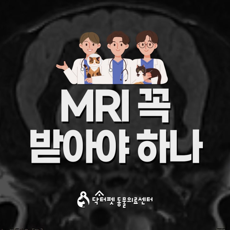  강아지 MRI 꼭 해야 하나요? 하기 전 이것부터 부산 신경계 동물병원