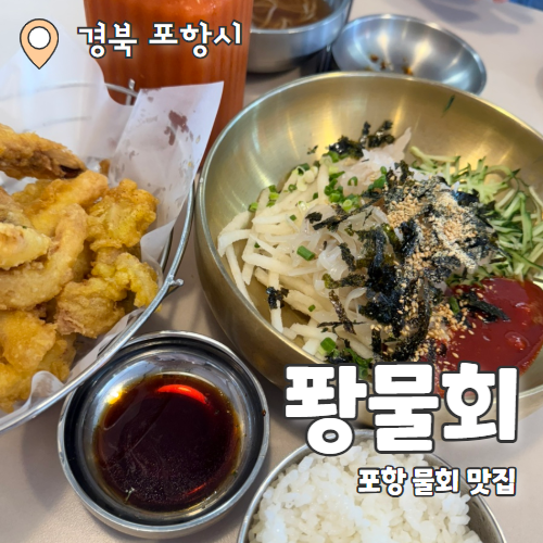  퐝물회 : 포항 영일대 오징어물회 오징어요리 물회 맛집 추천 후기
