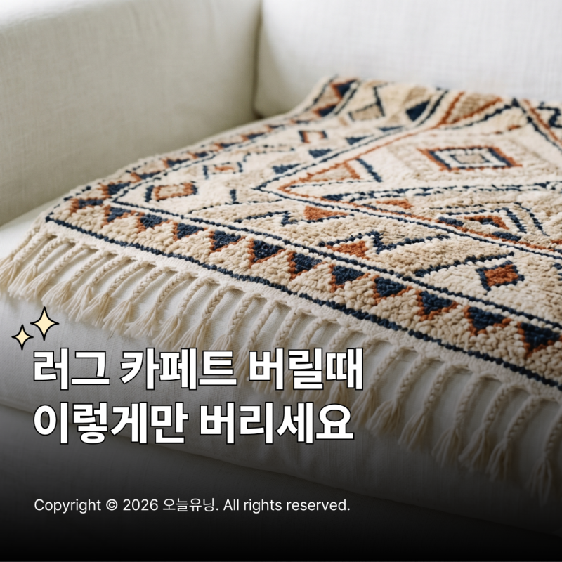 러그 카페트 버리는법 헷갈리는 분들은 이거 보세요