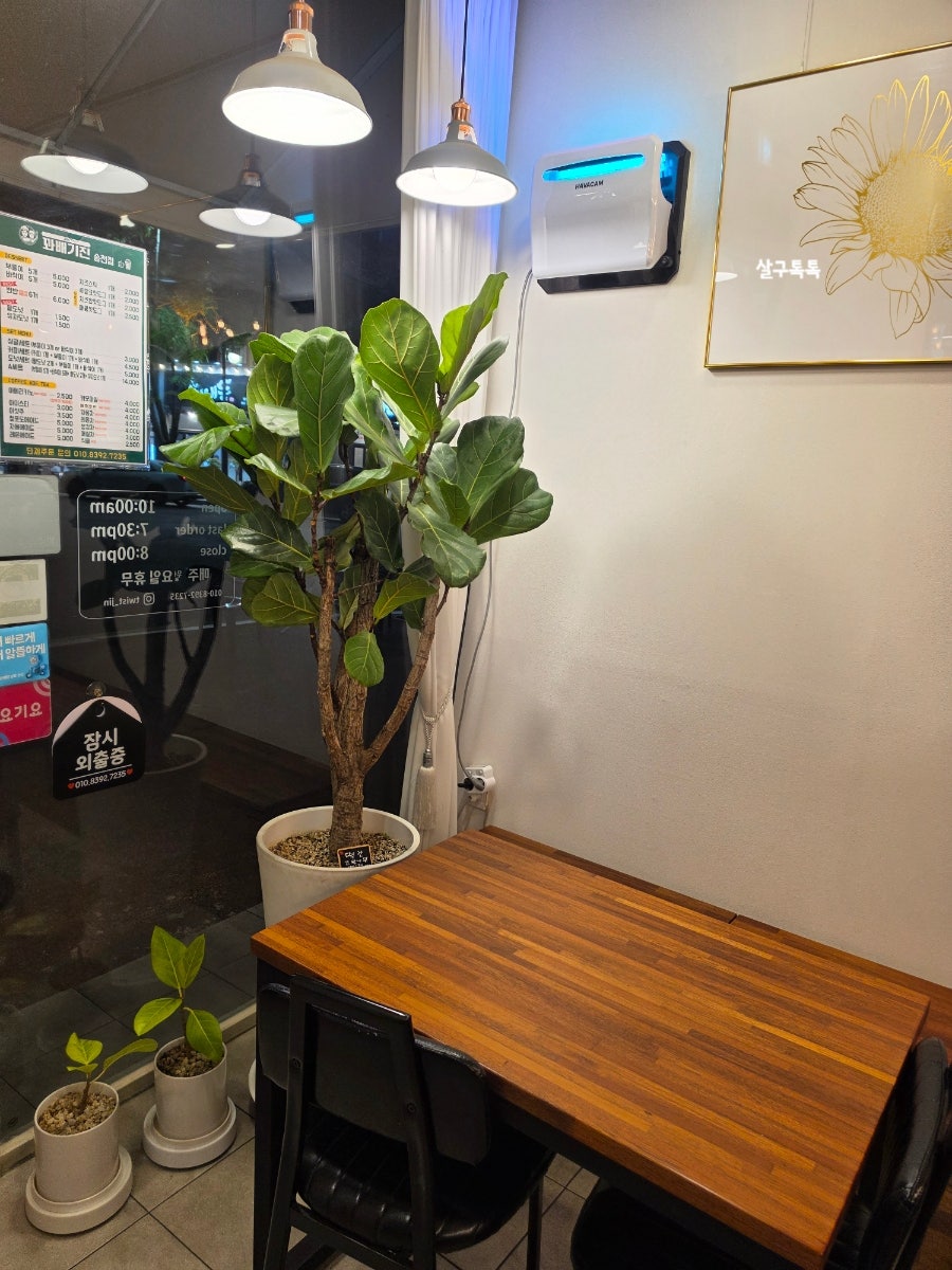 꽈배기진 송천점 사진 3
